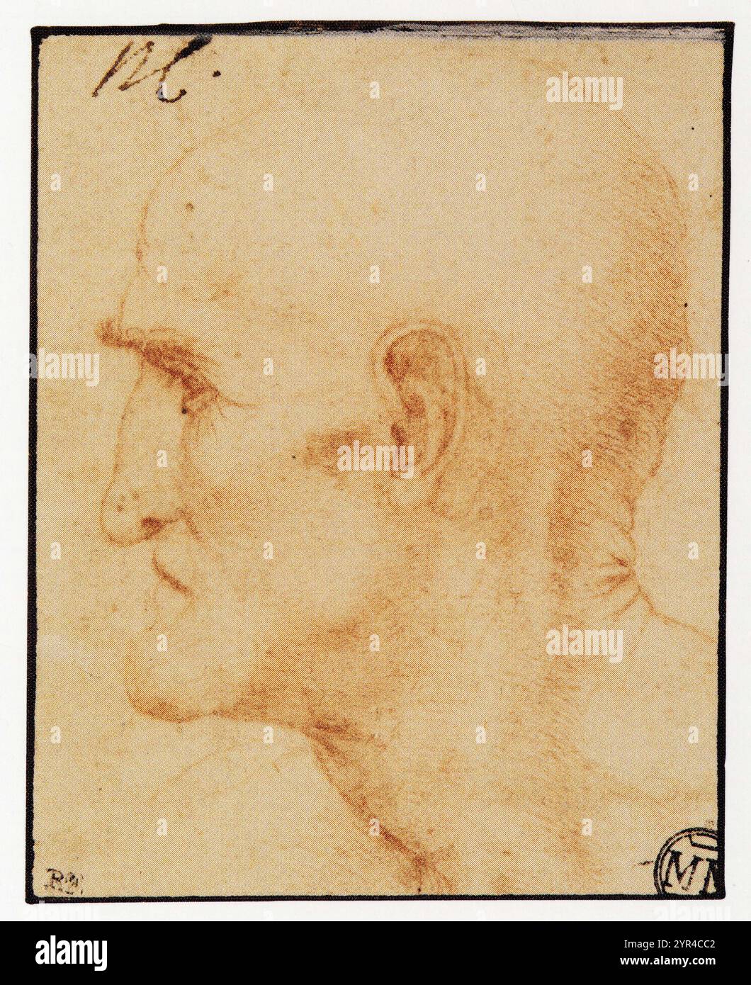 KOPIE NACH LEONARDO DA VINCI.KOPF DES ÄLTEREN MANNES IM LINKEN PROFIL Stockfoto