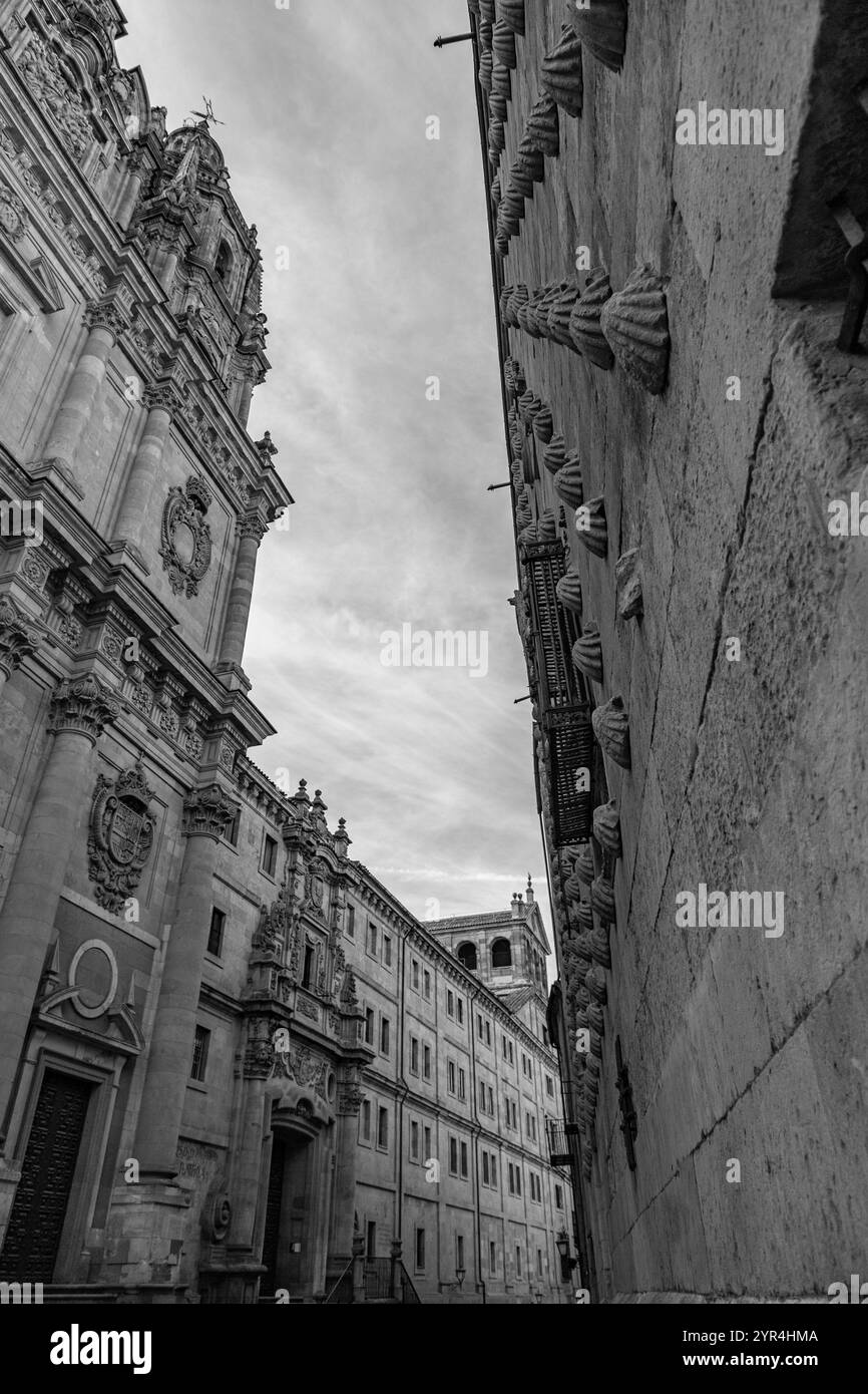 La Clerecia ist ein barockes Gebäude des ehemaligen königlichen Kollegiums des Heiligen Geistes der Gesellschaft Jesu, das zwischen dem 17. Und 18. Jahrhundert erbaut wurde. Stockfoto