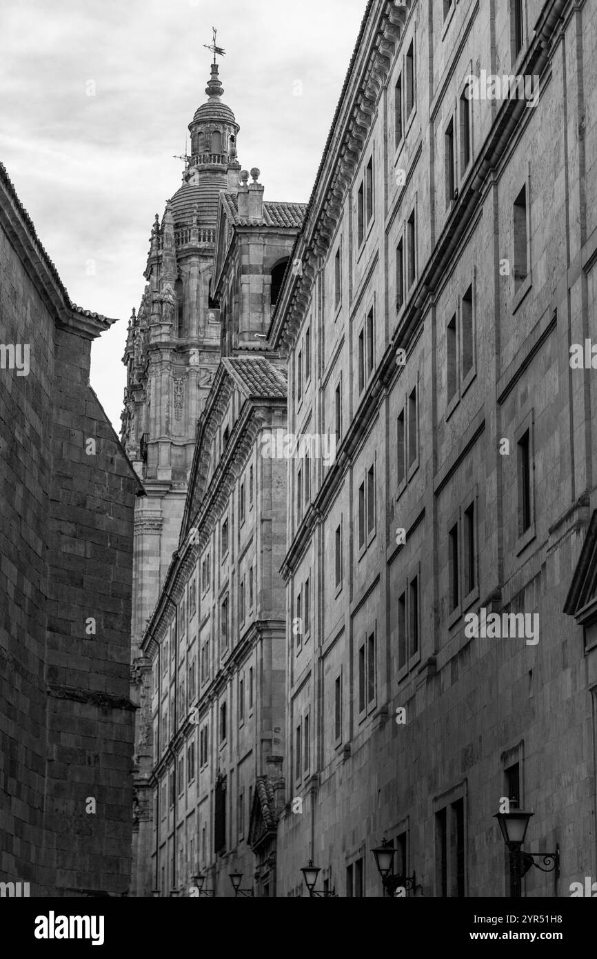 La Clerecia ist ein barockes Gebäude des ehemaligen königlichen Kollegiums des Heiligen Geistes der Gesellschaft Jesu, das zwischen dem 17. Und 18. Jahrhundert erbaut wurde. Stockfoto