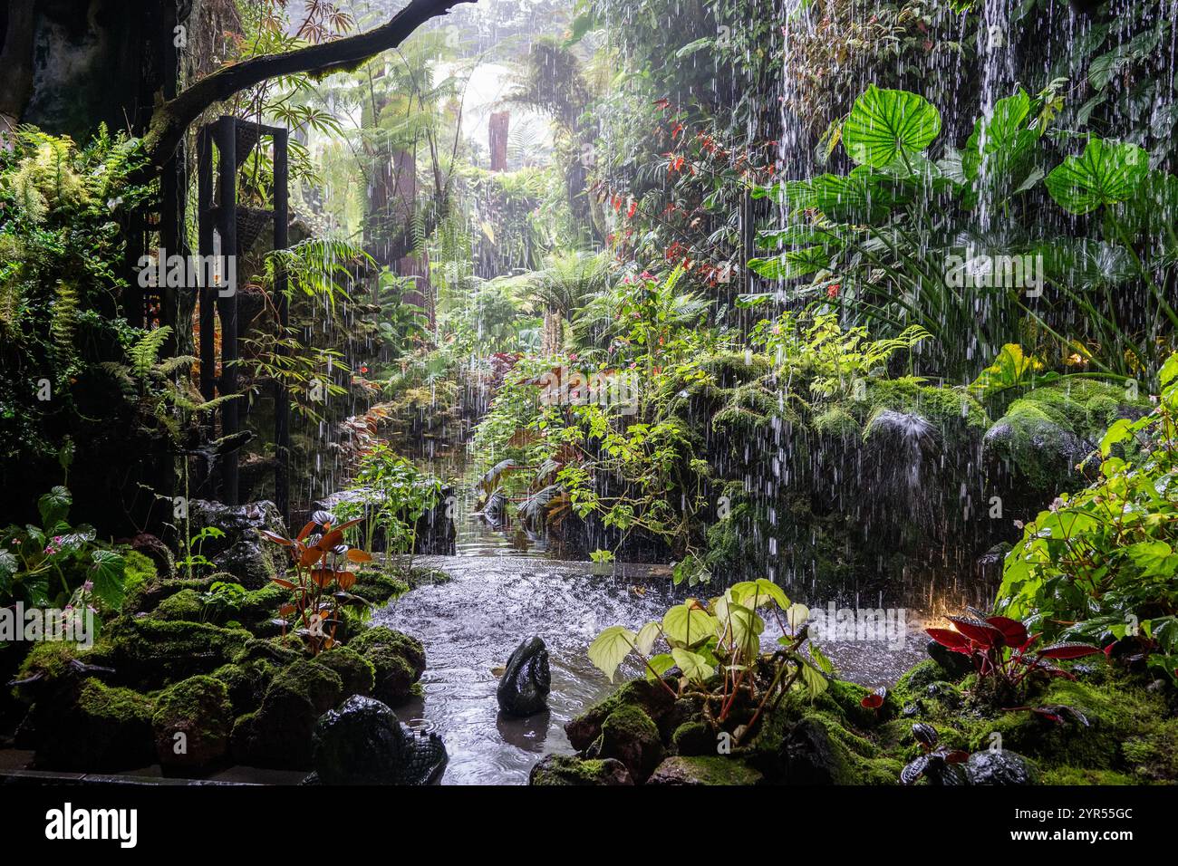 Singapur - 27. Juni 2024: Cloud Forest Wasserfall und üppiger tropischer Garten, Gärten an der Bucht, touristische Urlaubsreiseziel Stockfoto
