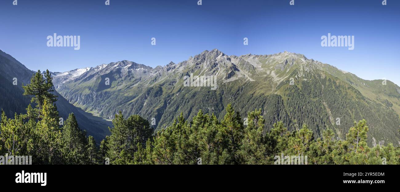 Panorama einer weiten Berglandschaft mit Wald und blauem Himmel, Nationalpark hohe Tauern, Habachtal, Salzburg, Österreich, Europa Stockfoto