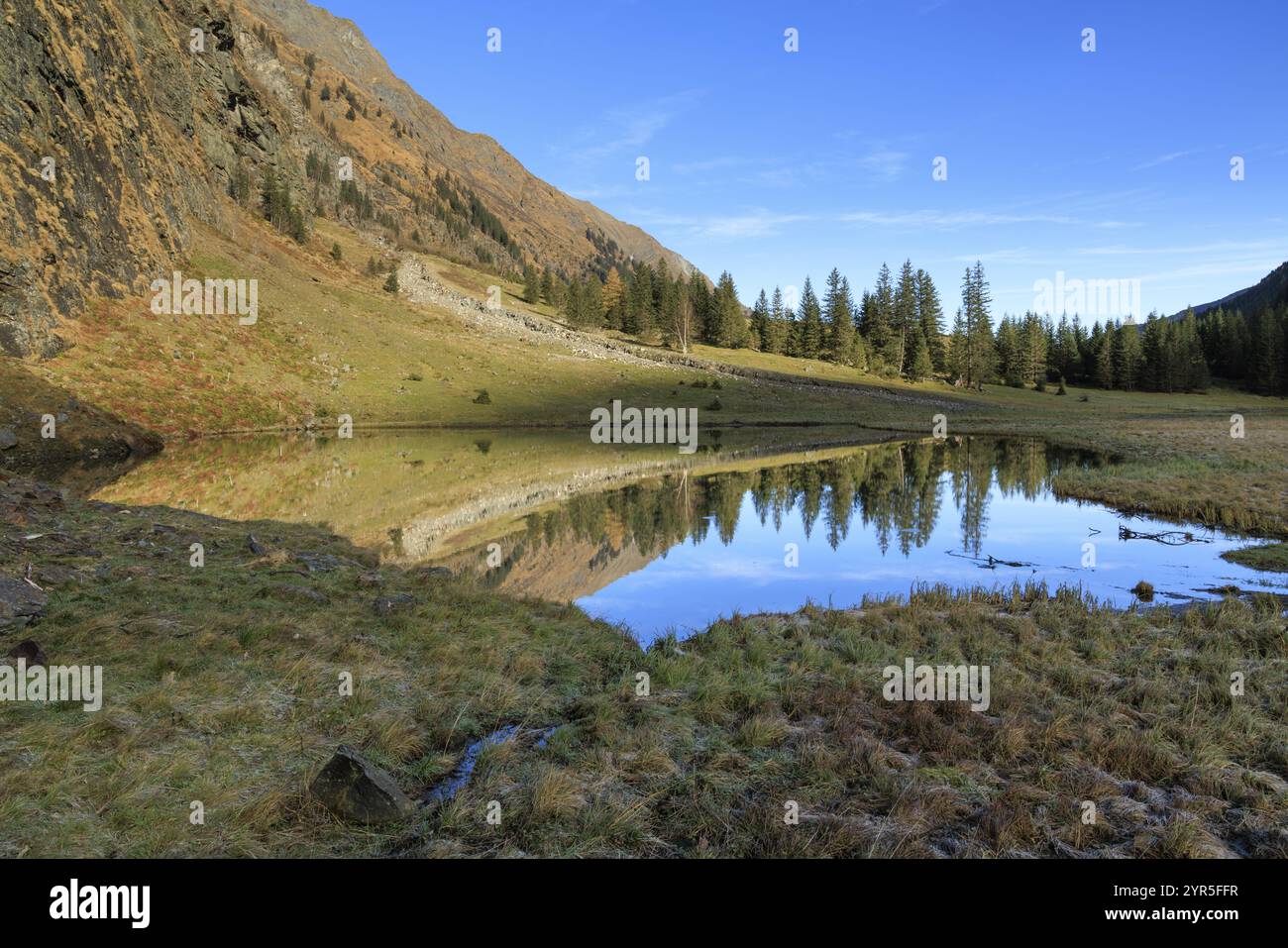 Ein kleines Gewässer reflektiert die umliegenden Berge und Bäume, Felbertal, Mittersill, Salzburg, Österreich, Europa Stockfoto