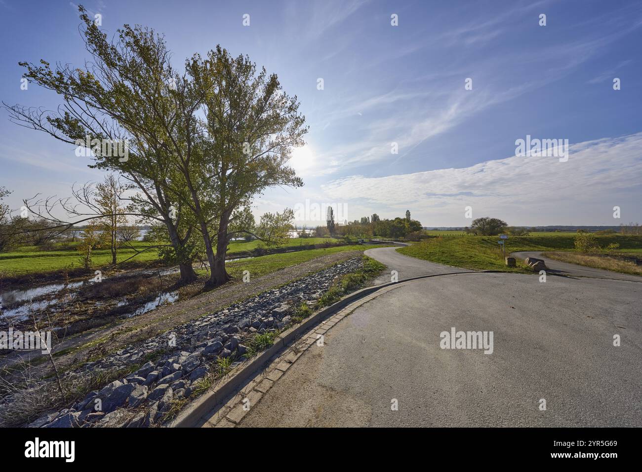 Baum im Hintergrund, blauer Himmel mit Zirrostratwolken und Sonne, Elbwiesen, Radwege und Wanderwege, Mühlberger Elbe, Elbe-Elster-Bezirk, Brandenbu Stockfoto