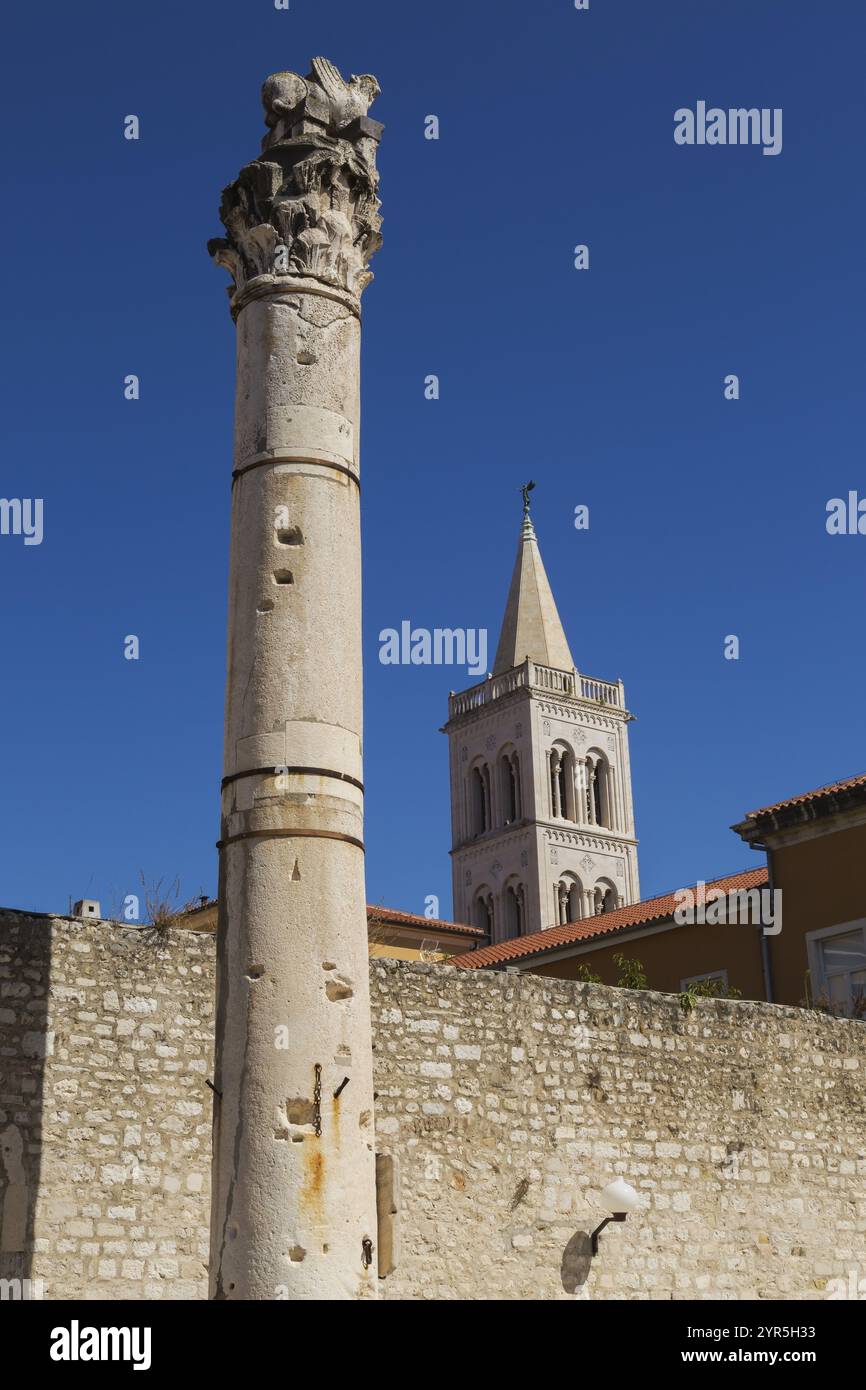 Säule der Schande und Glockenturm der Kathedrale von Zadar, alter kroatischer öffentlicher Platz, Altstadt von Zadar, Kroatien, Europa Stockfoto