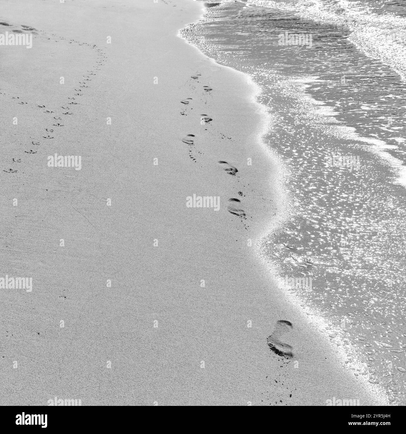 Strukturen im Sand, Fußabdrücke, Fußabdrücke, Tierspuren, Spaziergang am Strand, Strand, freier Textbereich, Symbolfoto, Moment, Schwarzweiß, Elafonisos Stockfoto