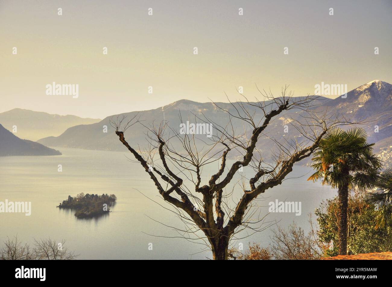 Panoramablick über den Alpensee Maggiore mit Berg- und Brissago-Inseln und Baum und klarem Himmel an einem sonnigen Tag in Ascona, Tessin, Schweiz, Euro Stockfoto