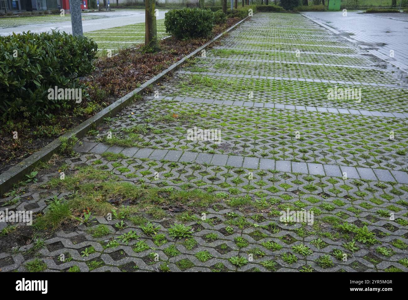 Nasser, leerer Parkplatz im Regen Stockfoto