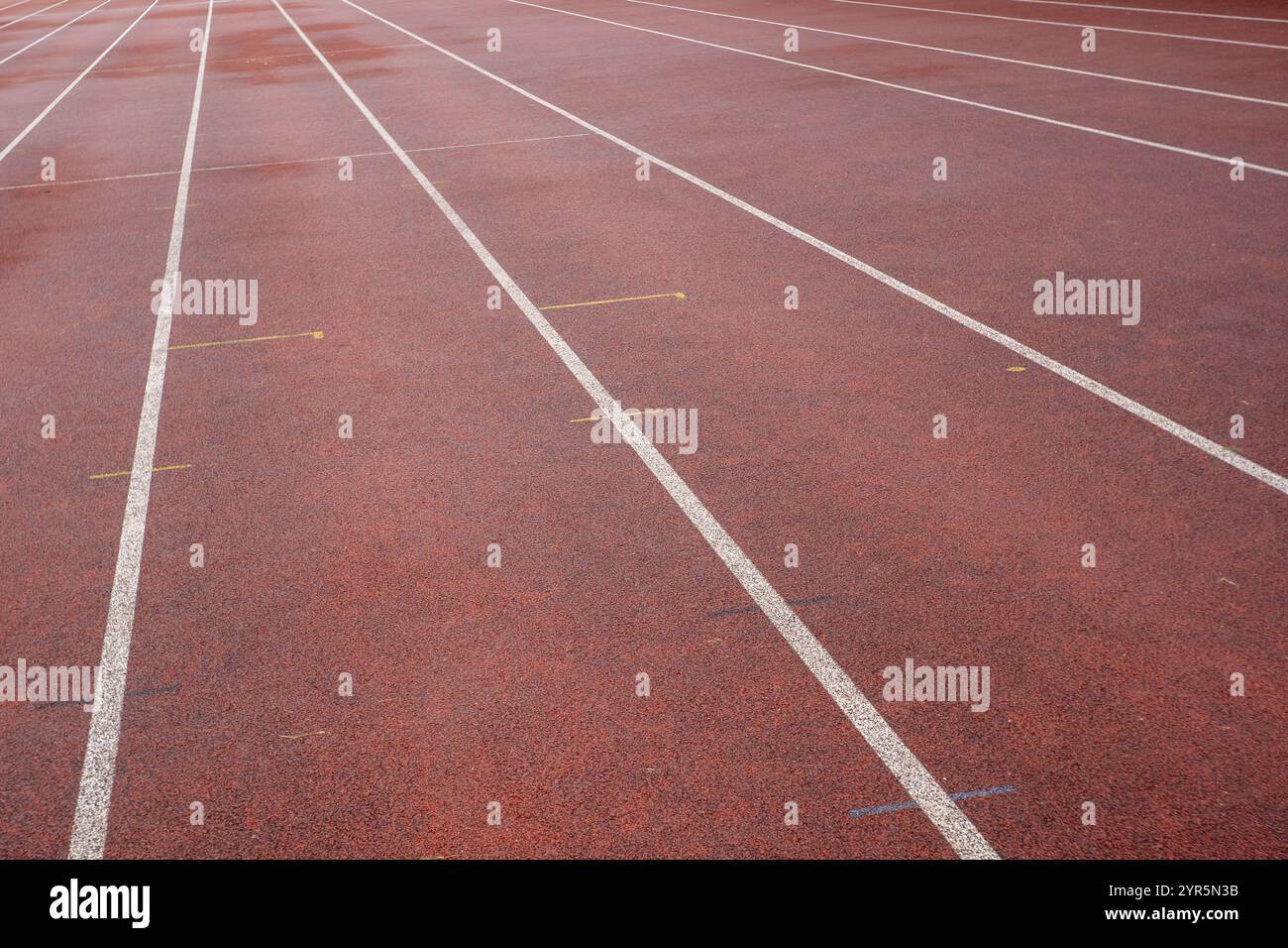 Nasssynthetische Bahn im Leichtathletikstadion Stockfoto