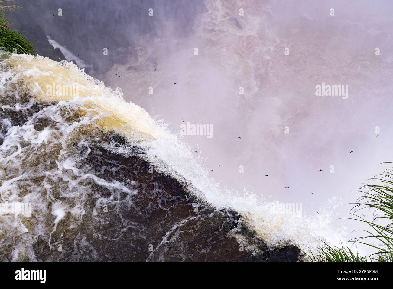 Iguazu Falls Argentinien Seite - ein Blick auf das Wasser, das über den Wasserfall geht und die Schwalben, die im Nebel darunter fliegen; Argentinien Südamerika reisen. Stockfoto