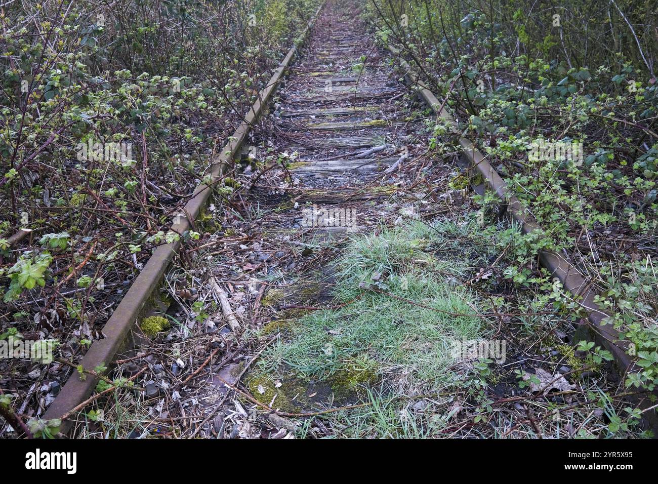 Bahnstrecken in die Landschaft Stockfoto