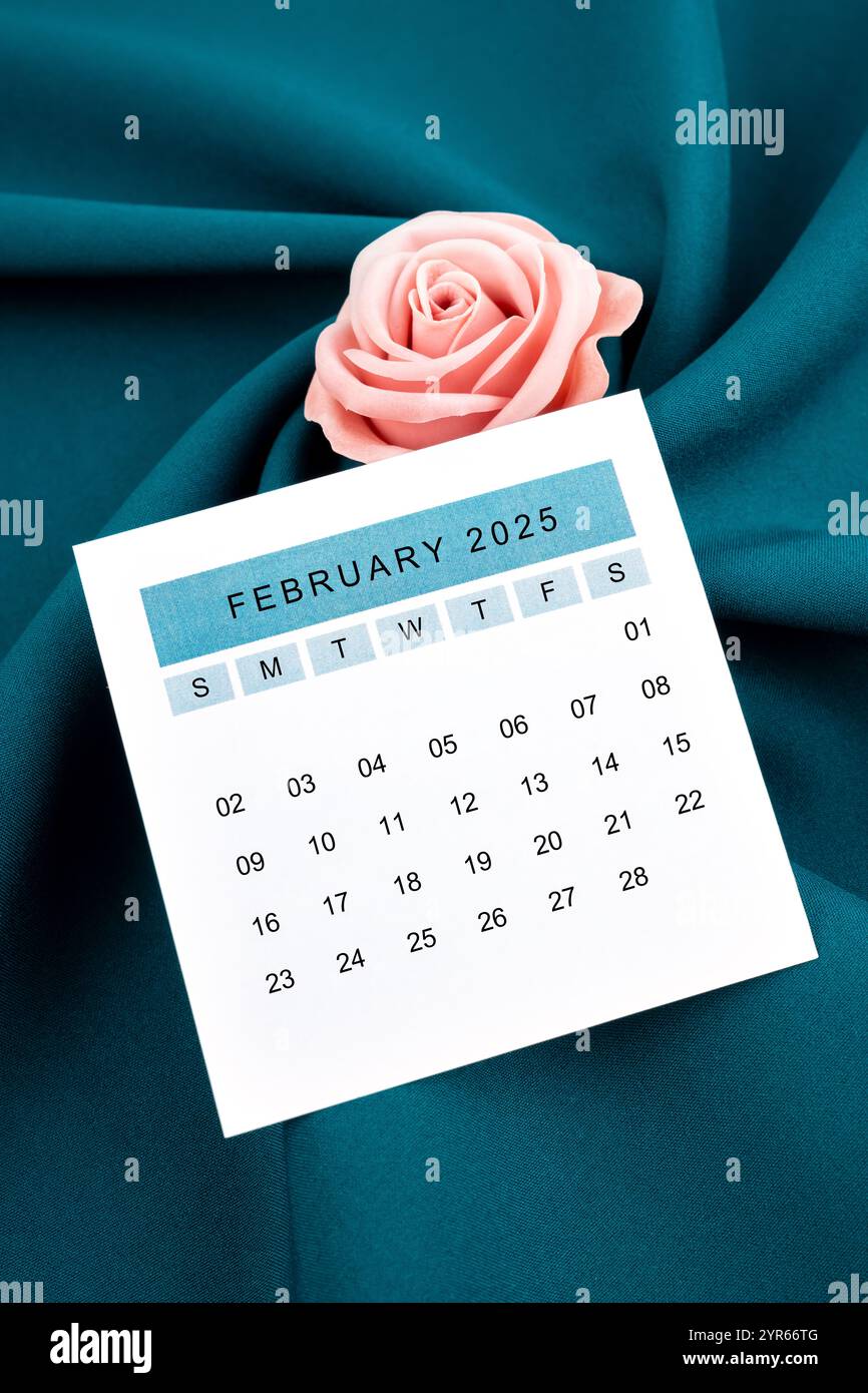 Kalenderseite Februar 2025 und rosafarbene Rose auf grünem Textilhintergrund. Stockfoto