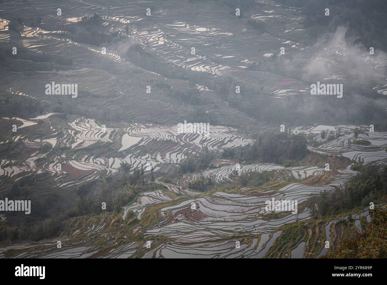 Nahaufnahme der Schichten der Reisterrassen in der Gegend von Bada Reisterrassen, China, Yunnan. UNESCO-Weltkulturerbe Stockfoto