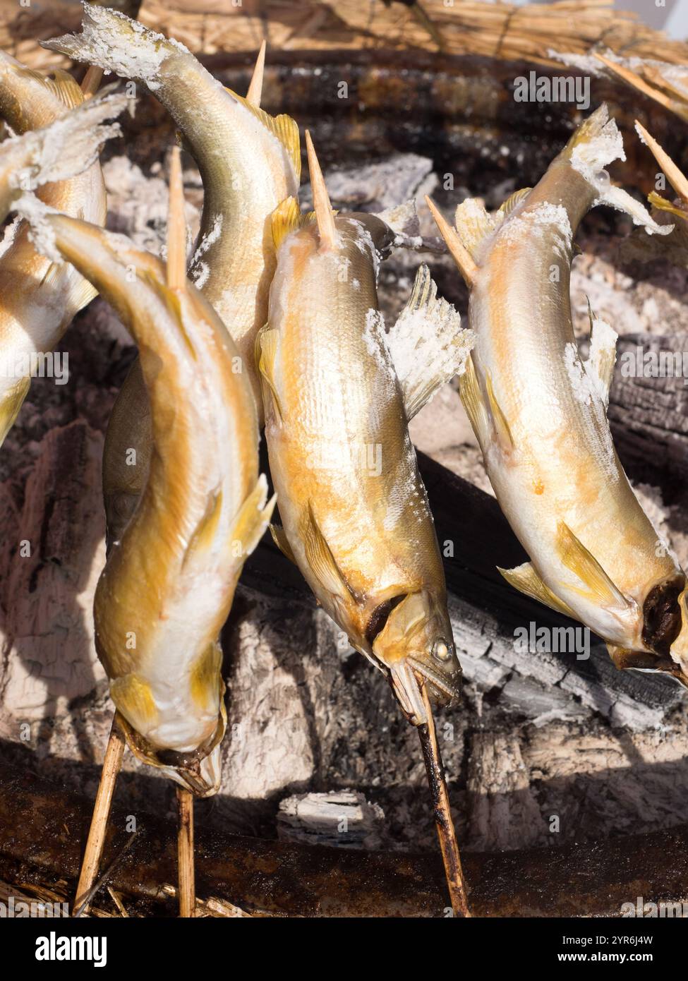 Saibling gegrillter Süßfisch Stockfoto