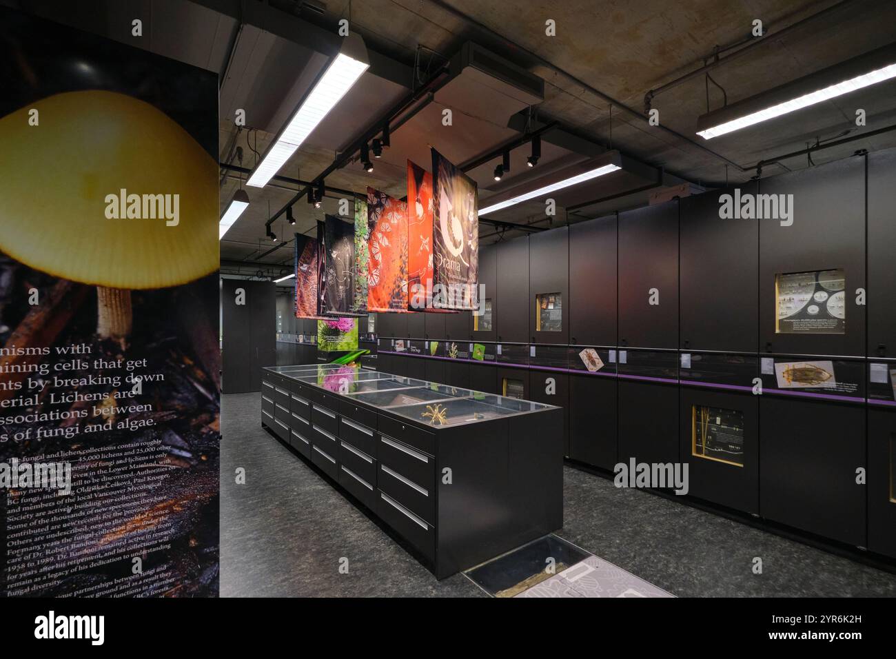 Einer der Abschnitte mit hängenden Bannern, die das Drama in der Natur beschreiben. Im Beaty Biodiversity Museum der UBC in Vancouver, British Columbia, Kanada. Stockfoto