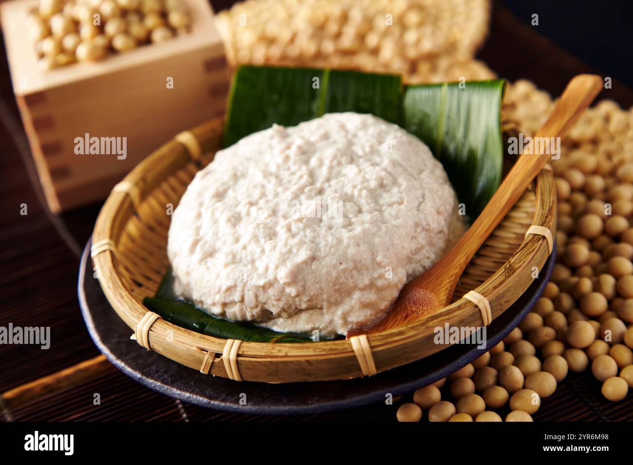 Handgemachter Tofu und Sojabohnen Stockfoto