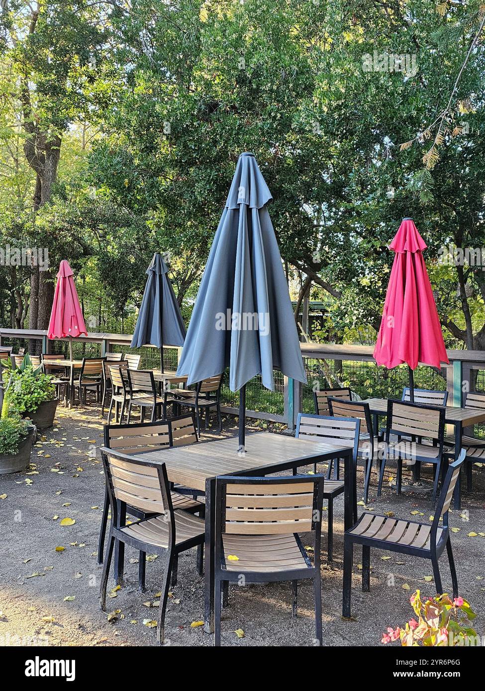 Café-Sitzplätze im Freien mit Holztischen und -Stühlen unter bunten geschlossenen Sonnenschirmen, umgeben von üppigem Grün an einem ruhigen Tag. - Smartphone-aufgenommenes Stockfoto