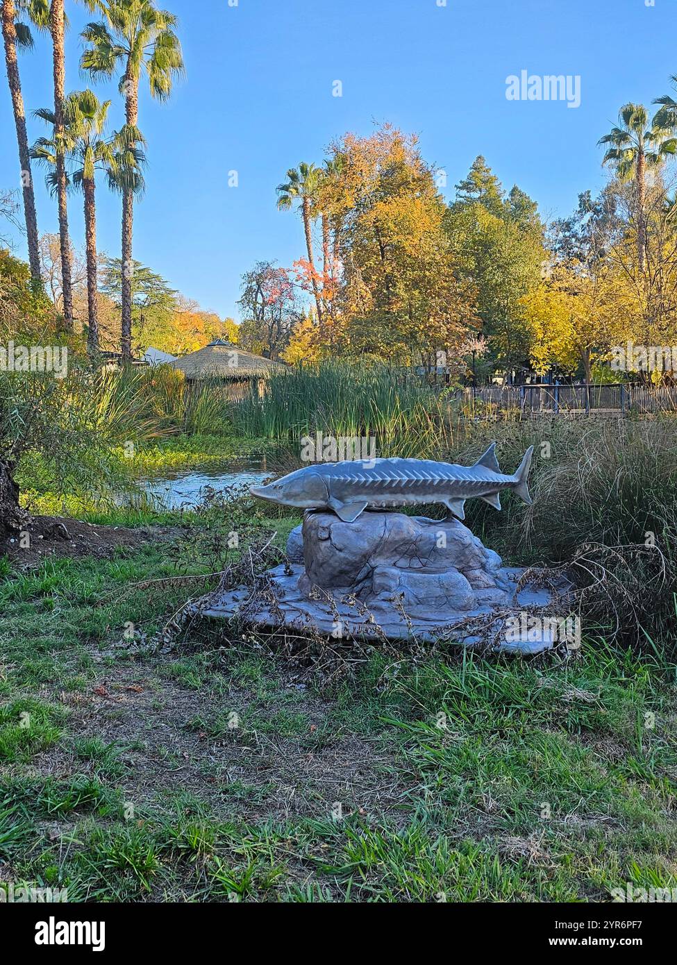 Sturgeon Skulptur auf einem Felsengrundstück umgeben von Grün und Palmen in einem Naturpark unter einem klaren blauen Himmel. Stockfoto