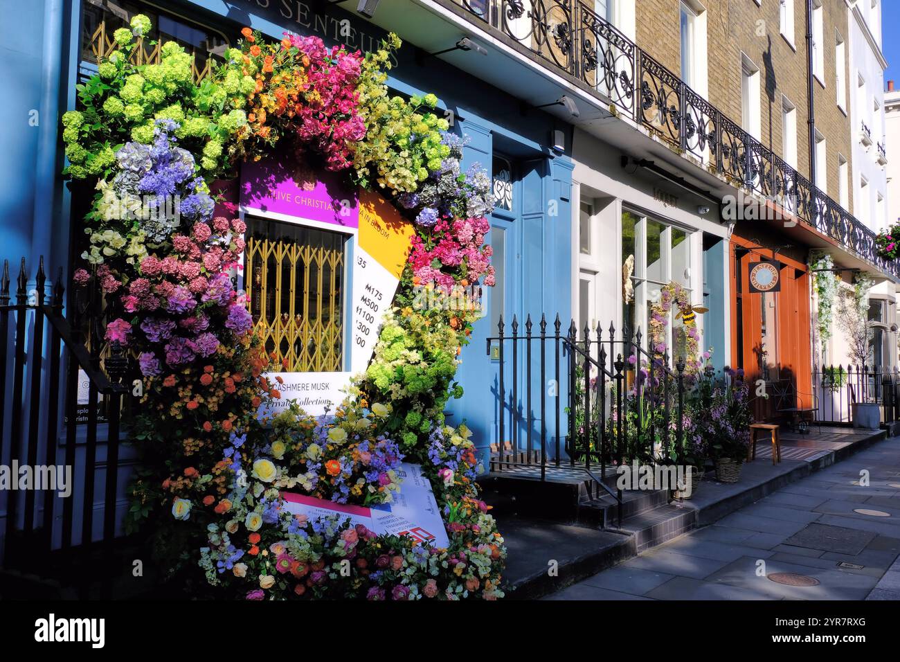 Echte Blumendekorationen in Les Senteurs und anderen Geschäften in Elizabeth Street für Chelsea Flower Show und Belgravia in Bloom 2024, London, England, Großbritannien Stockfoto