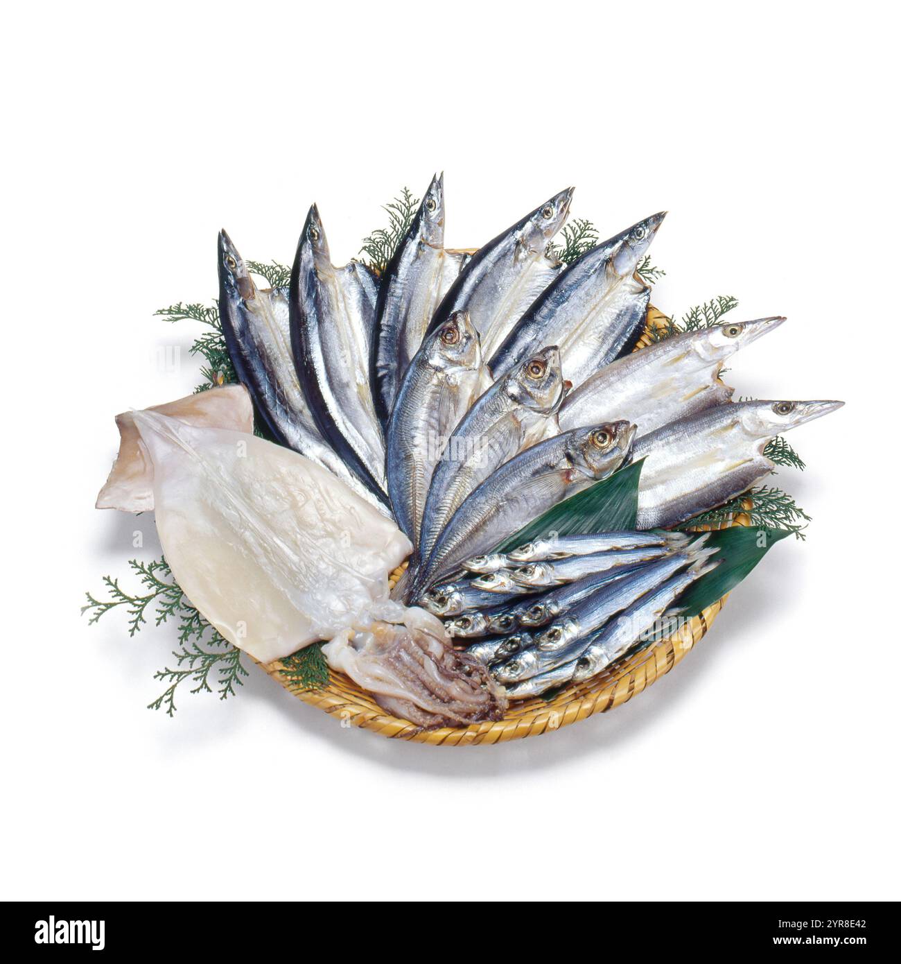 Getrockneter Fisch Stockfoto