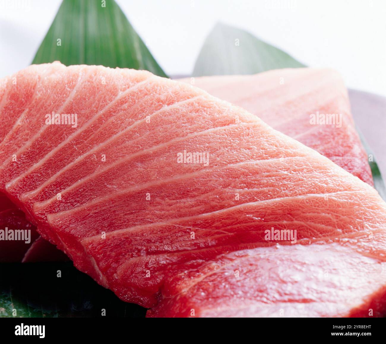 Thunfisch Toro (fettes Thunfischfleisch) Stockfoto