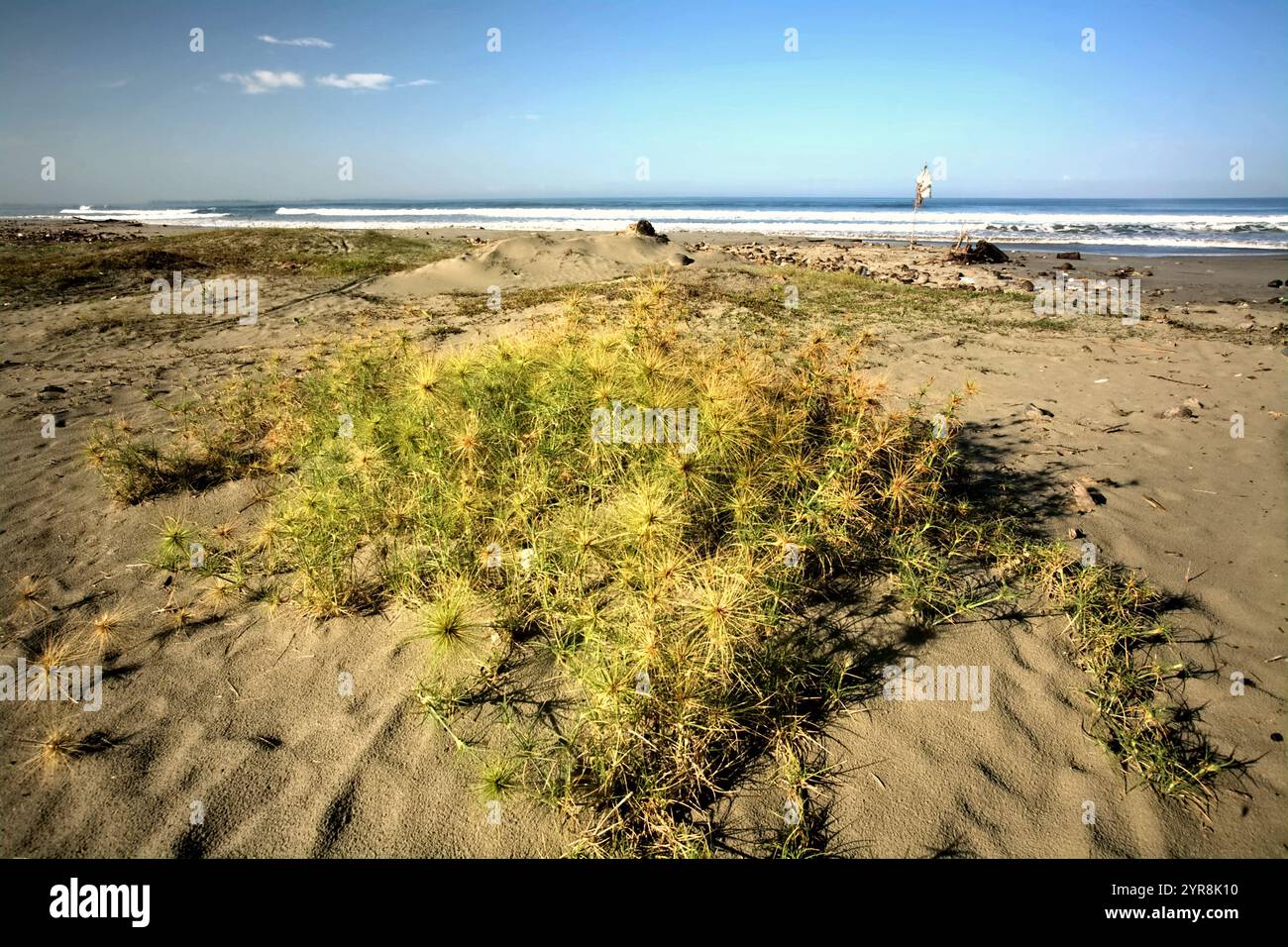 Ein flacher Strand namens Pantai Panjang mit Blick auf den Indischen Ozean in Bengkulu, Sumatra, Indonesien. Stockfoto