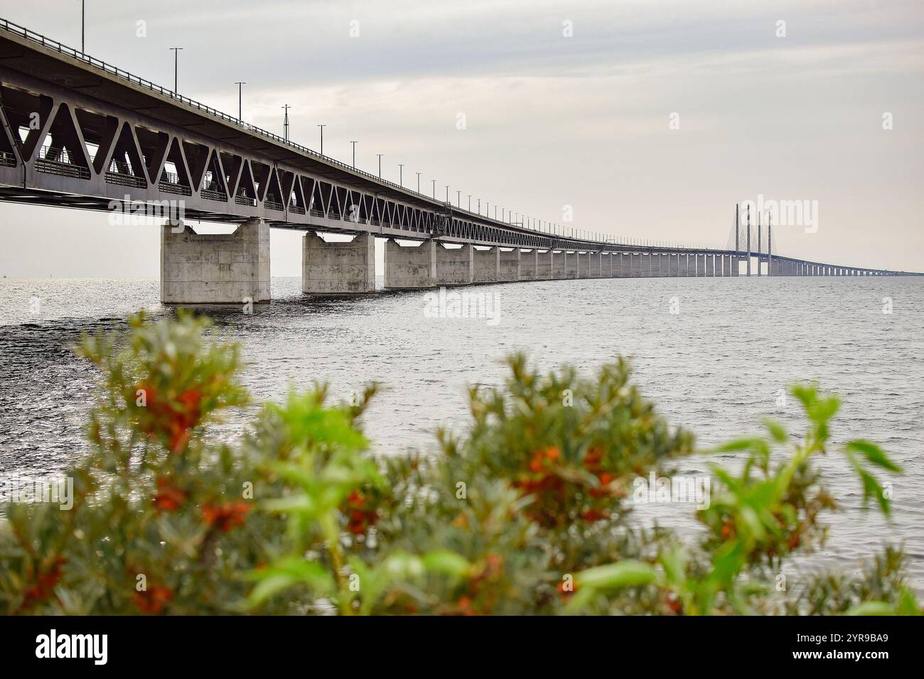 Verschwommenes Bild der Oresundbrücke. Stockfoto