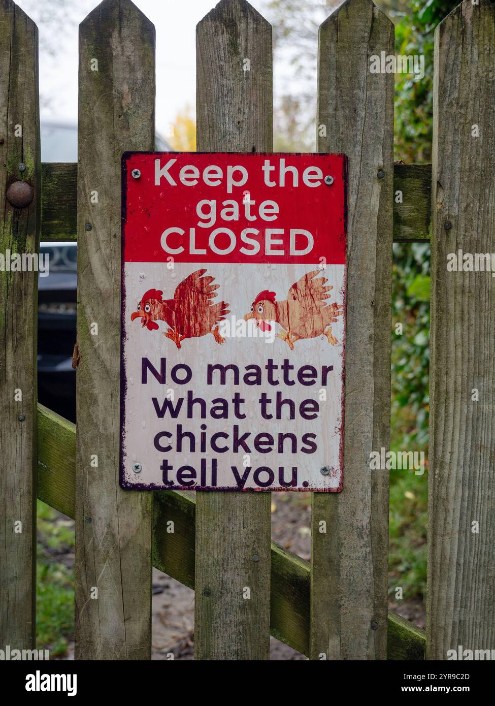 Halten Sie das Tor geschlossen, egal, was die Hühner Ihnen sagen - lustiges Schild an einem Gartentor, Großbritannien Stockfoto