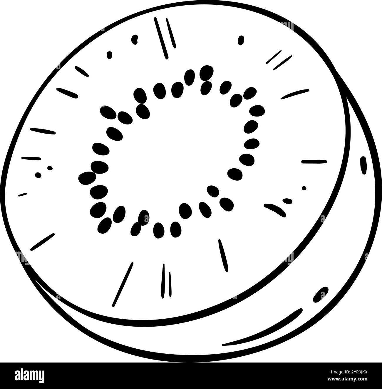 Kiwi Fruit Isolierte Umrissdarstellung Stock Vektor