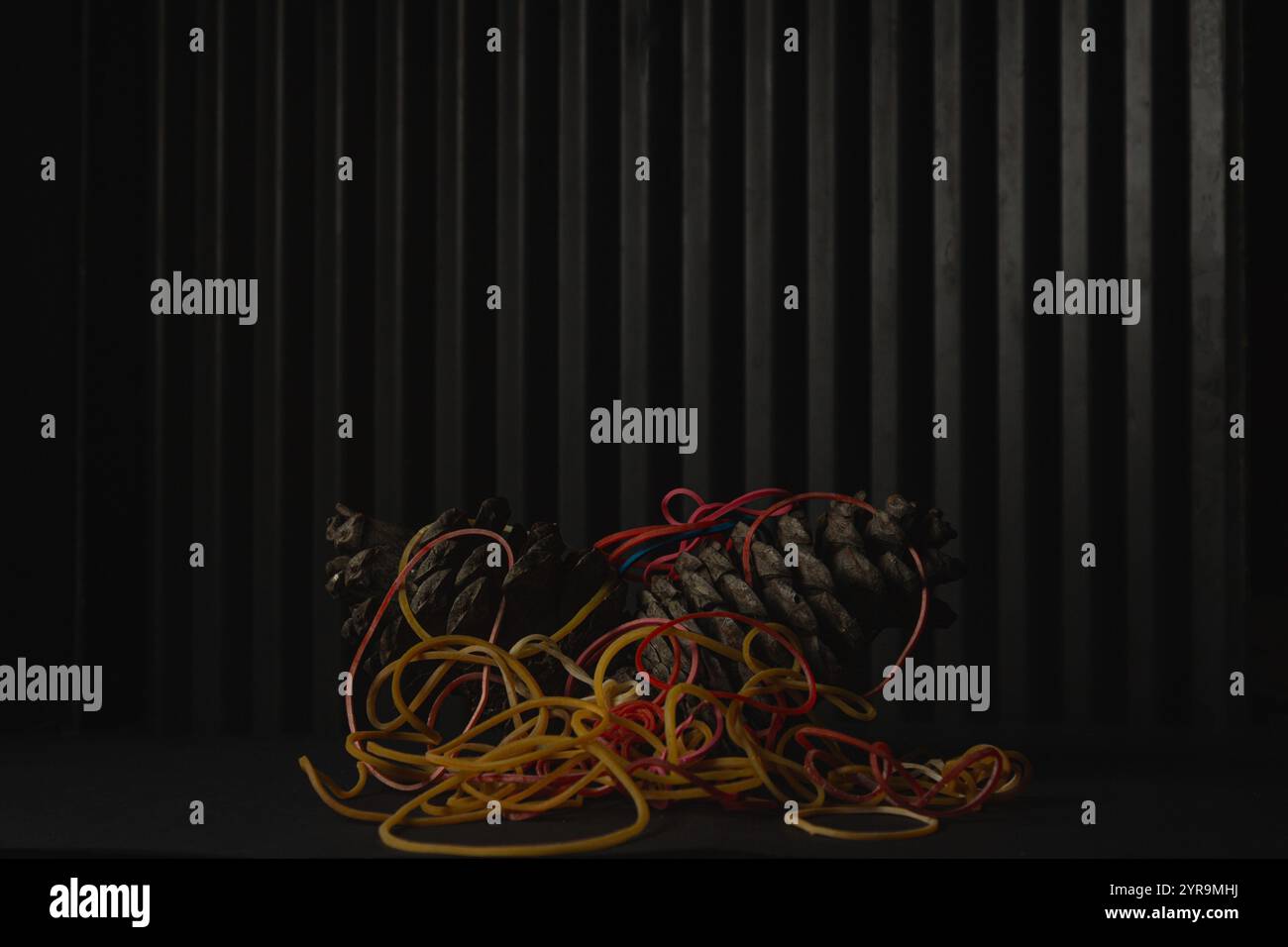 Tannenzapfen und Gummibänder aus Kunststoff auf schwarzem Hintergrund mit Kopierraum. World Earth Day Konzept Stockfoto