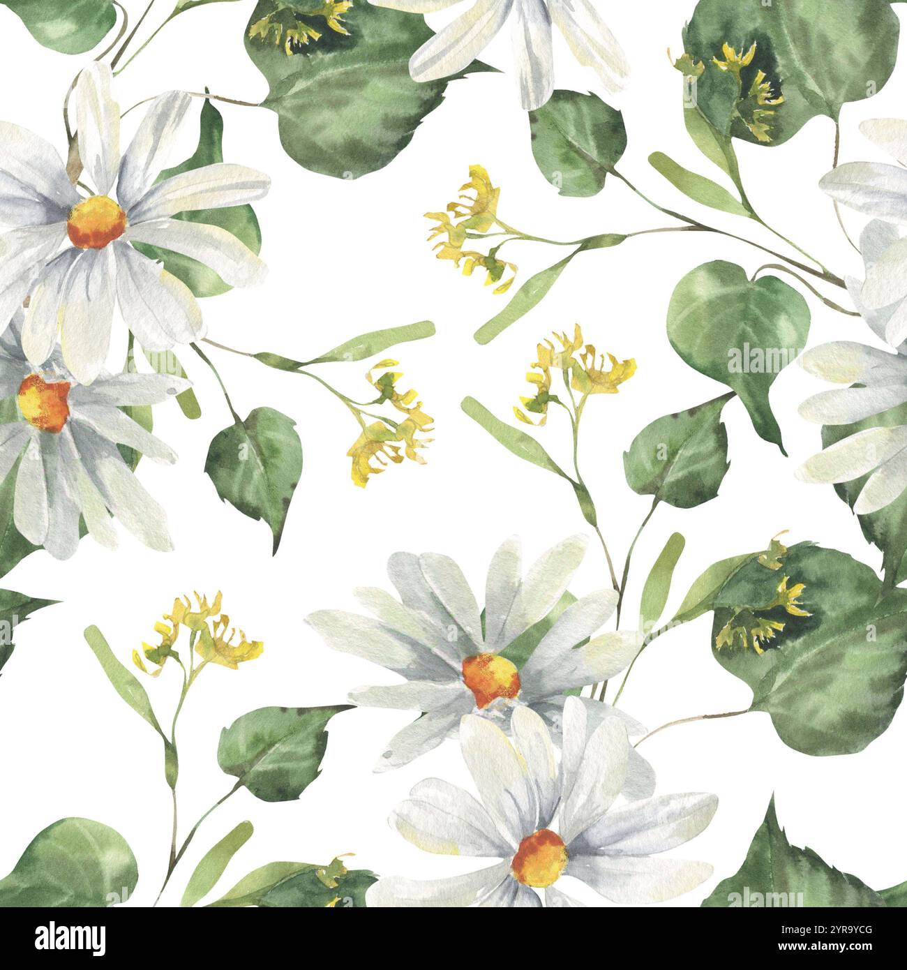 Kamillenweiße Blüten und Lindenzweige nahtloses Aquarellmuster. Feld wilde Blüten und Waldpflanzen Hintergrund, Blumenschmuck für Bio Stockfoto