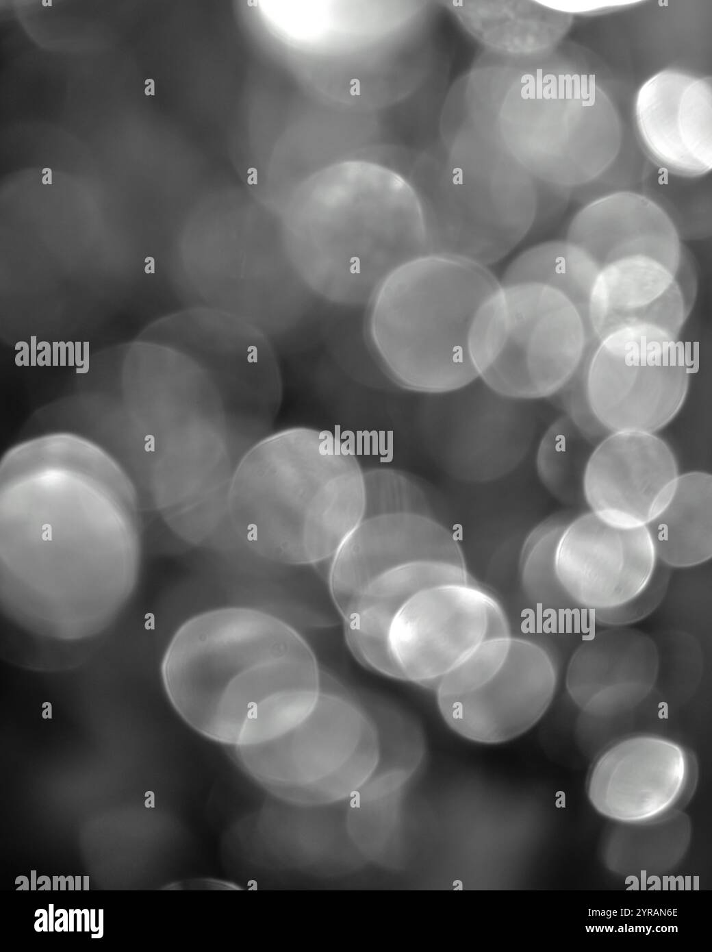 Abstraktes graues Bokeh beleuchtet Texturen mit weichem Fokus Stockfoto