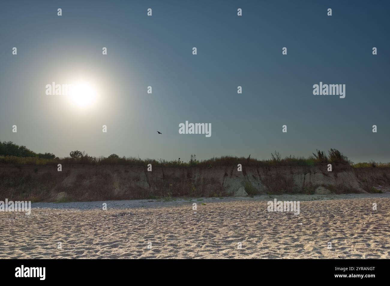 Blick auf die steile Küste mit dem Schnabelrand der Kalksandsteinklippen im Hintergrund bei Schönhagen, Ostsee, Deutschland Stockfoto