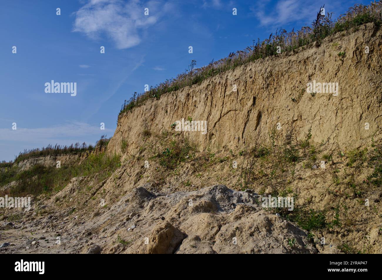 Steilküste mit Schnabelrand der Kalksandsteinklippen bei Schönhagen, Ostsee, Deutschland Stockfoto