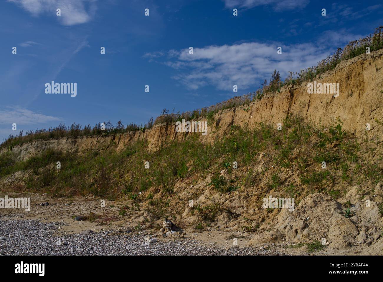 Steilküste mit Schnabelrand der Kalksandsteinklippen bei Schönhagen, Ostsee, Deutschland Stockfoto