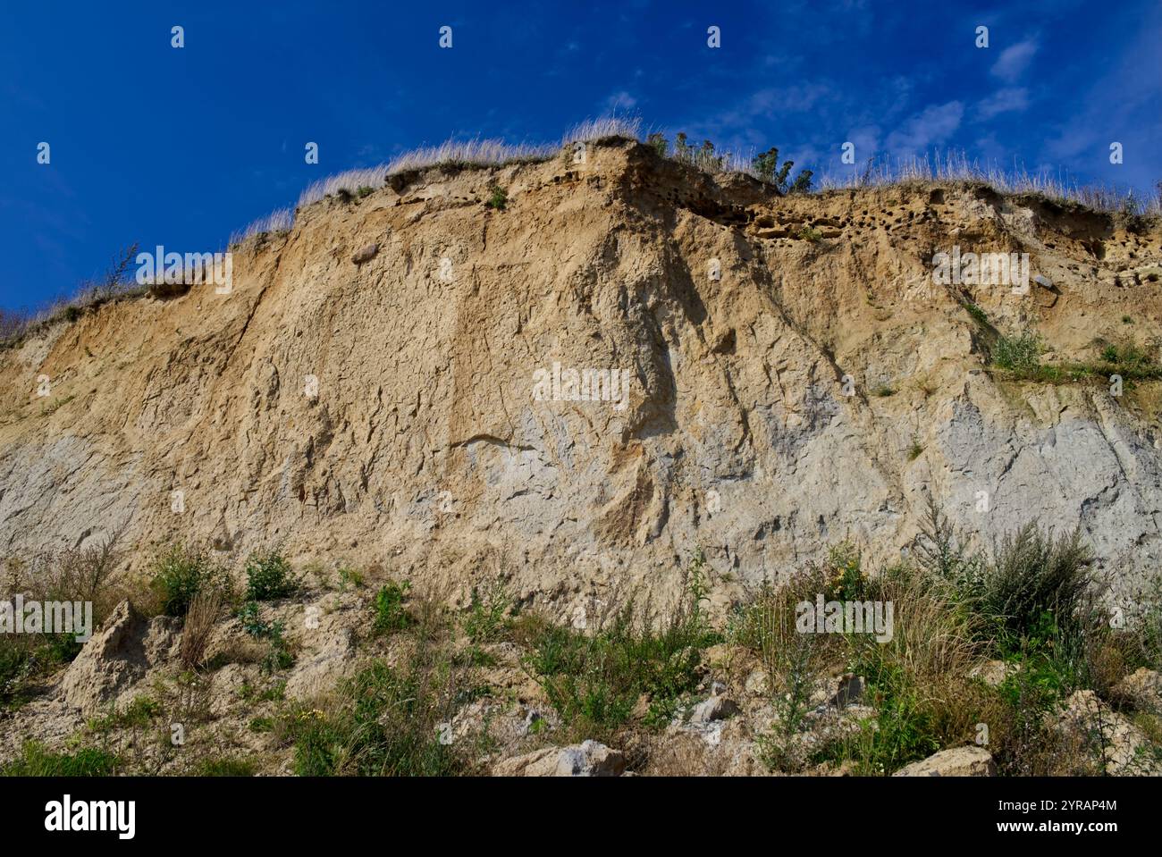 Steilküste mit Schnabelrand der Kalksandsteinklippen bei Schönhagen, Ostsee, Deutschland Stockfoto