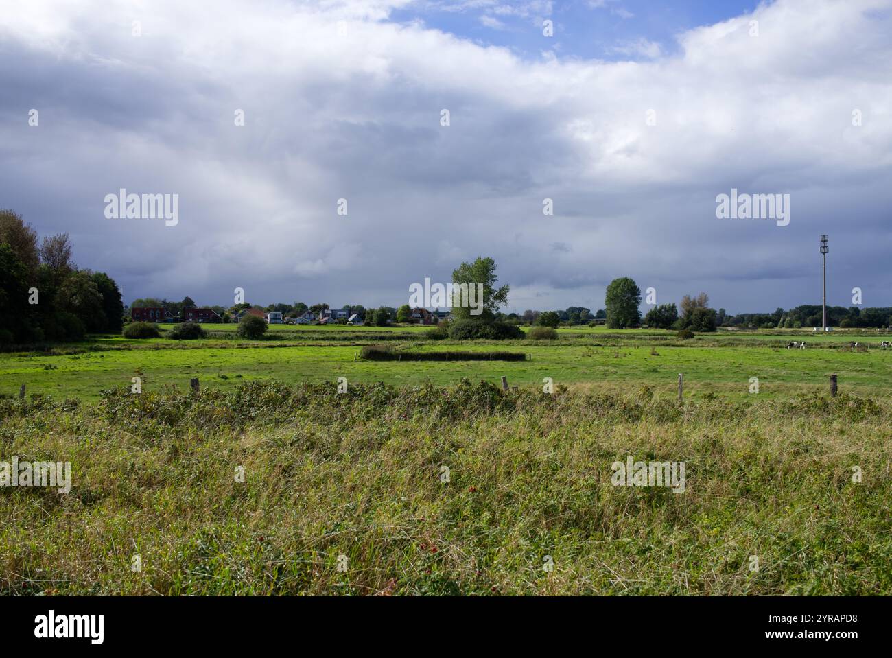 Blick von der Ostseeküste auf Land auf grünen Wiesen mit ein paar Kühen und bewölktem Himmel in Schönhagen, Ostsee, Kieler Bucht, Deutschland Stockfoto