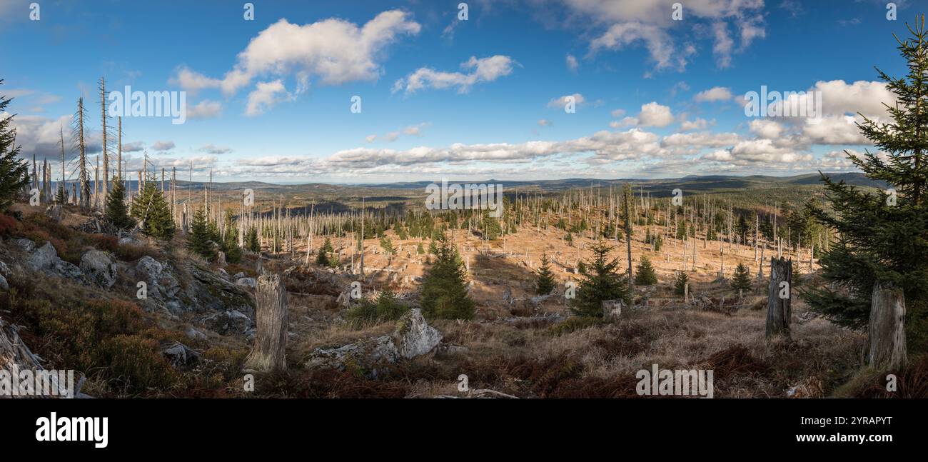 Hochlagen im Bayerischen Wald, Hochlagen im Bayerischen Wald Stockfoto