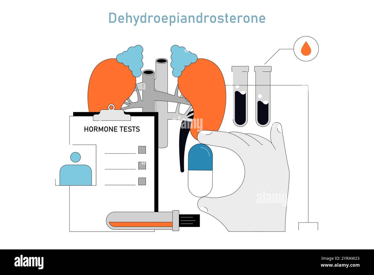 DHEA-Ergänzungskonzept. Visuelle Anleitung zur Hormonprüfung, Nebennierengesundheit und medizinische Ergänzungen. Hinweise zur klinischen Beurteilung und zum endokrinen Gleichgewicht. Vektorabbildung. Stock Vektor