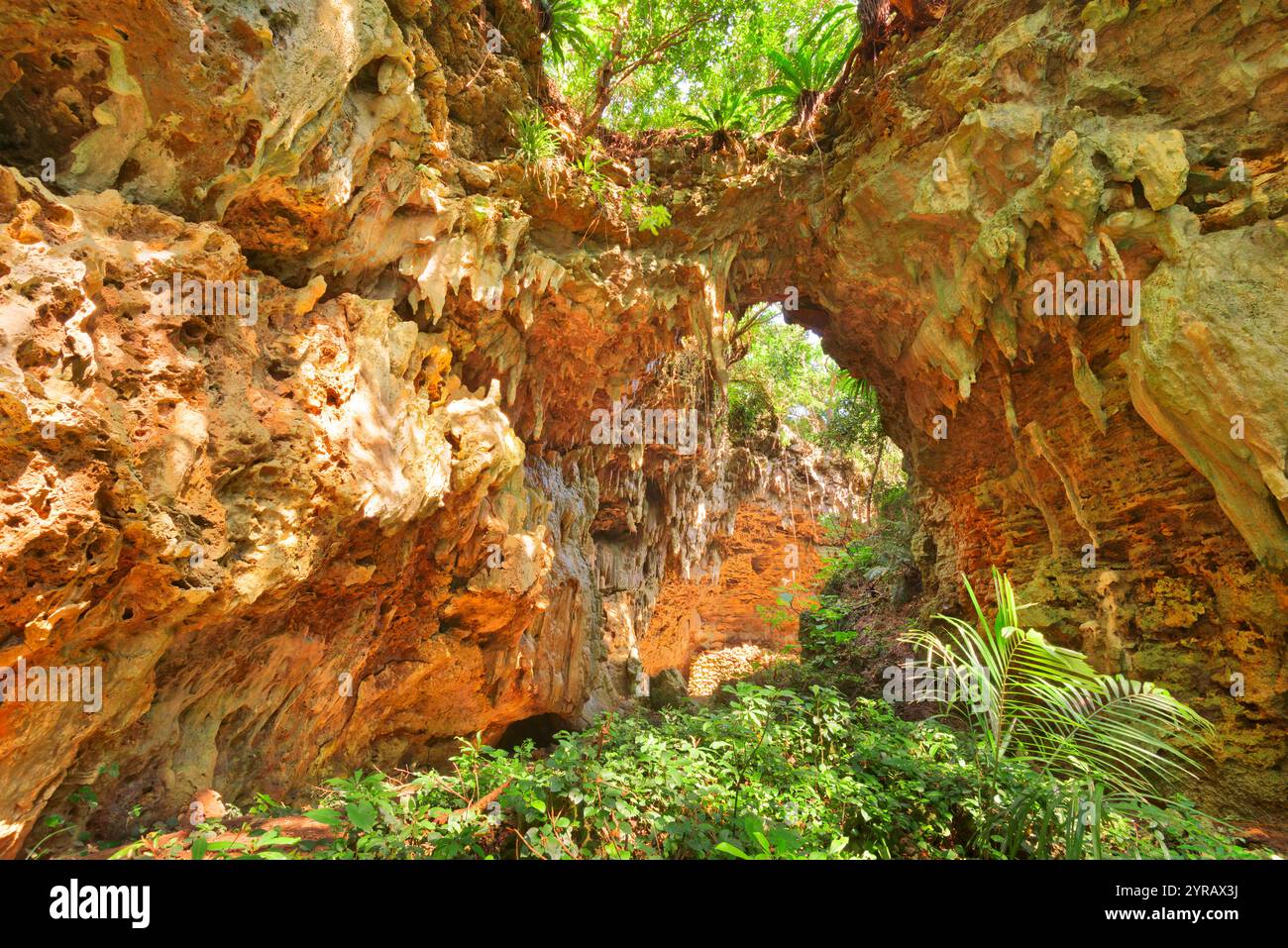 Kumejima, Japan in der Yajiyagama-Höhle. Stockfoto