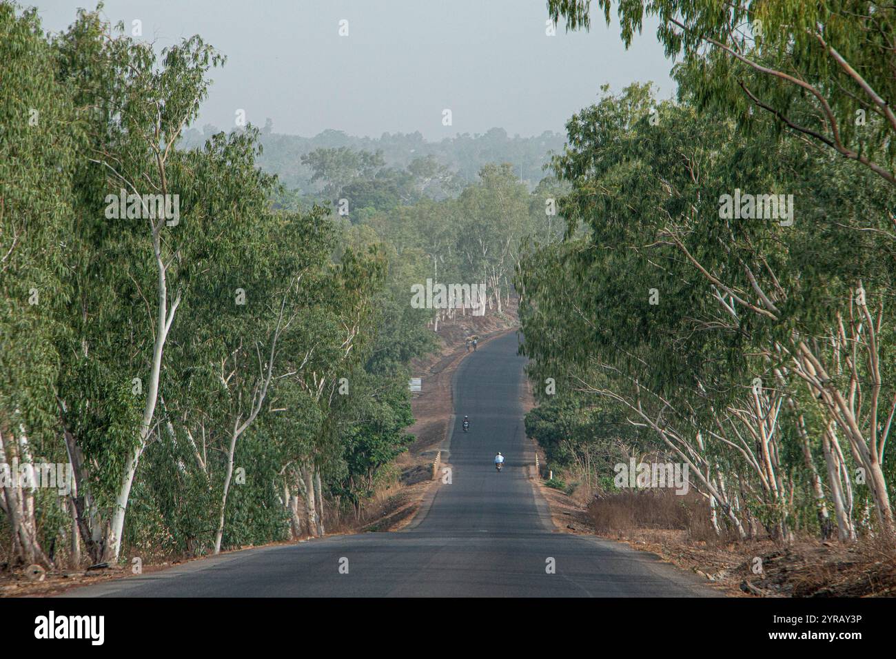 Friedliche Landstraße in Togo umgeben von dichten Bäumen und Blick auf die rollende Landschaft Stockfoto