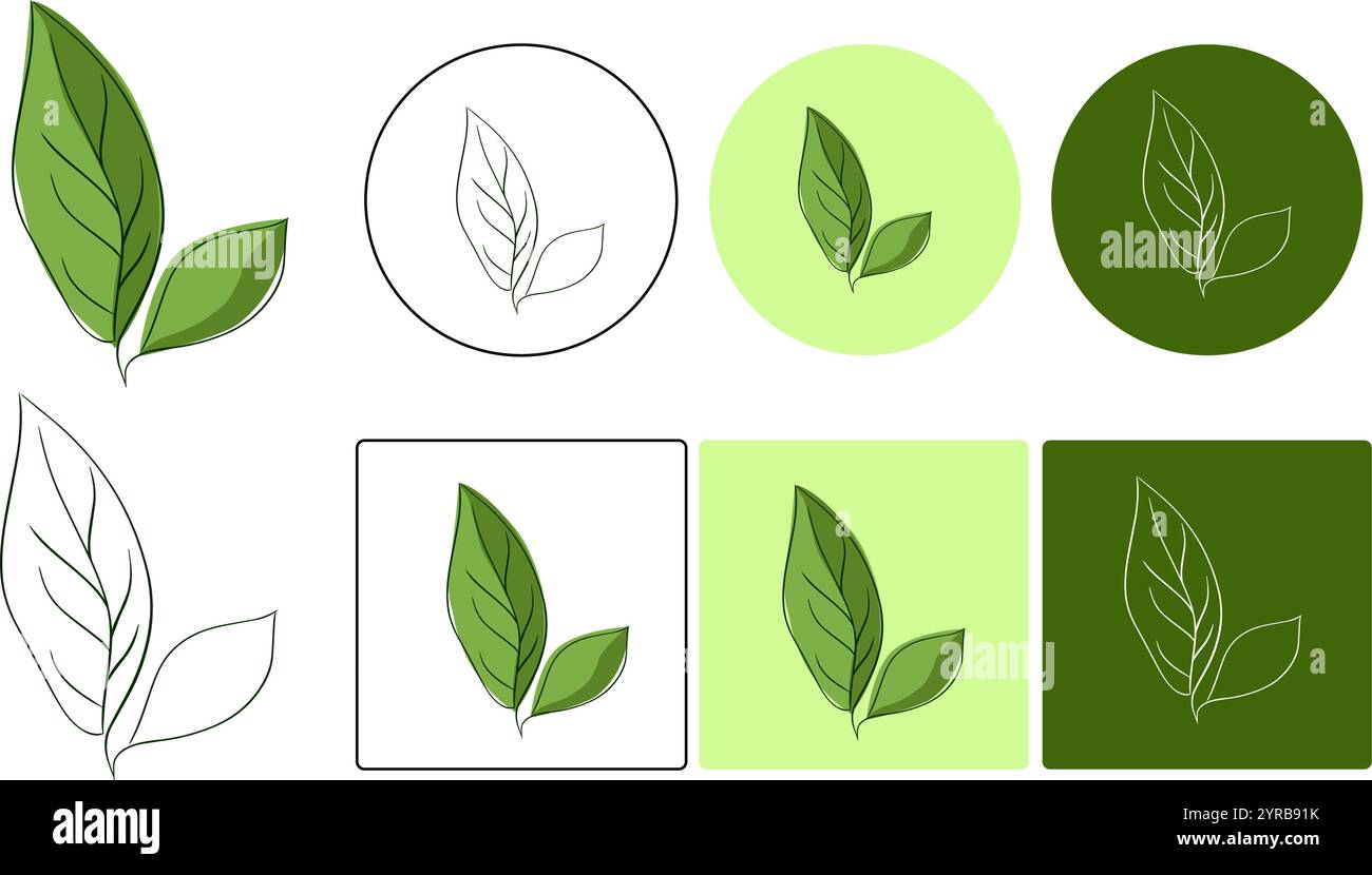 Grünes Vektor-Logo-Symbol auf farbigem Hintergrund. Grafische Linie der Blattdarstellungen der Sammlung. Elementdesign für natürliches, umweltfreundliches Recycling Stock Vektor