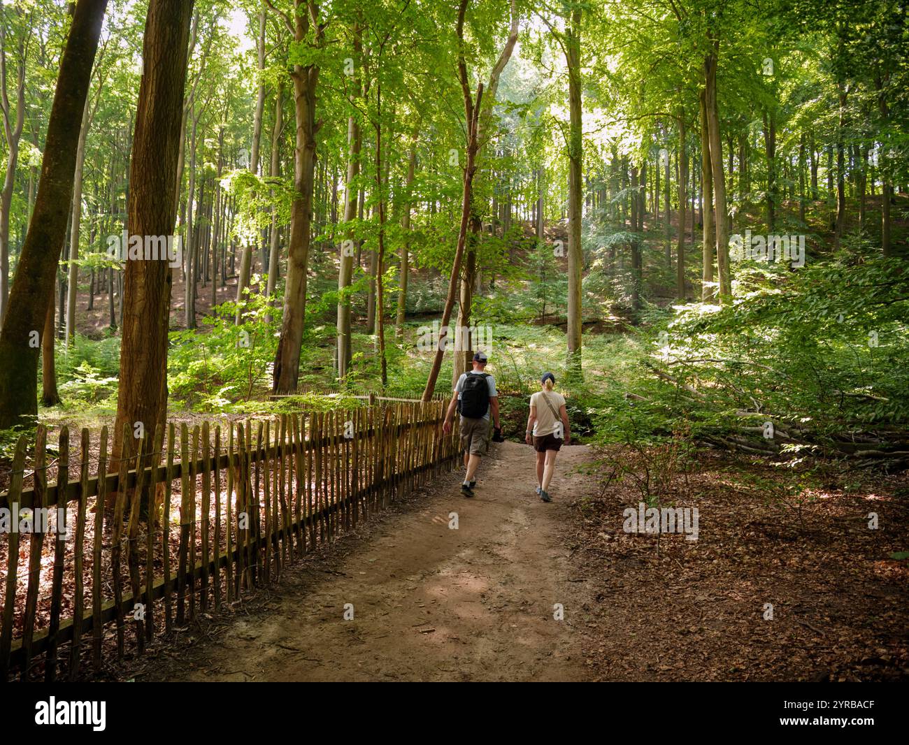 Menschen wandern auf dem Hochuferweg von Königsstuhl nach Sassnitz im Nationalpark Jasmund, Rügen, Mecklenburg-Vorpommern Stockfoto