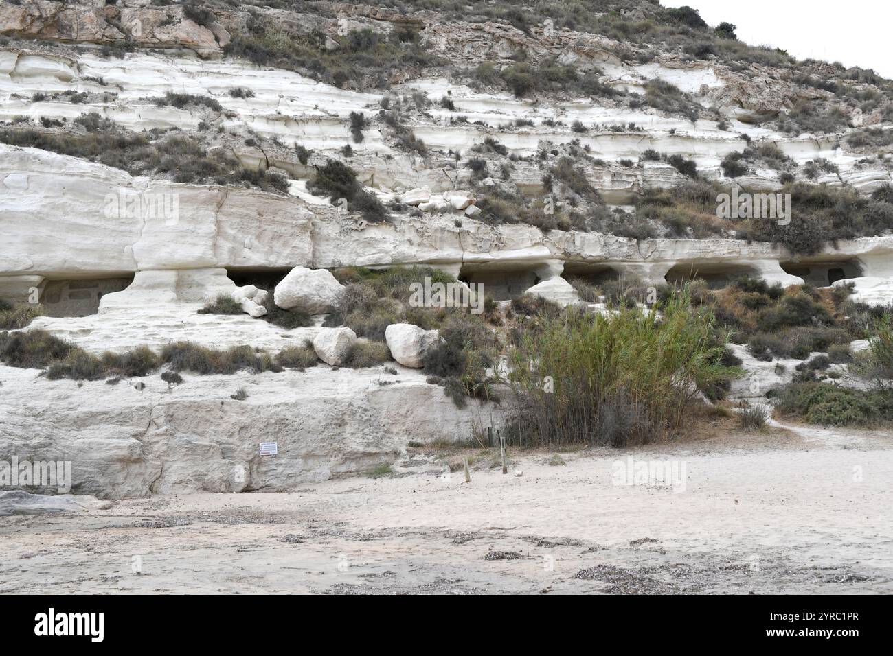 Pyroklastisches Gestein (Tephra) mit Höhlen. Agua Amarga, Cabo de Gata, Almería, Andalusien, Spanien. Stockfoto