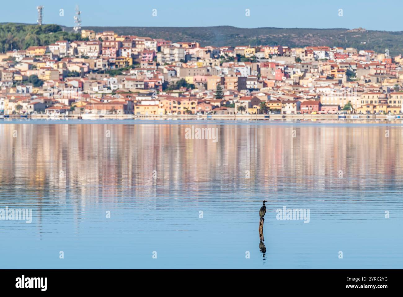 Im Wasser spiegelt sich ein großer schwarzer Vogel, der auf einem Holzpfahl thront, mit der Insel Sant'Antioco, Sardinien, Italien Stockfoto
