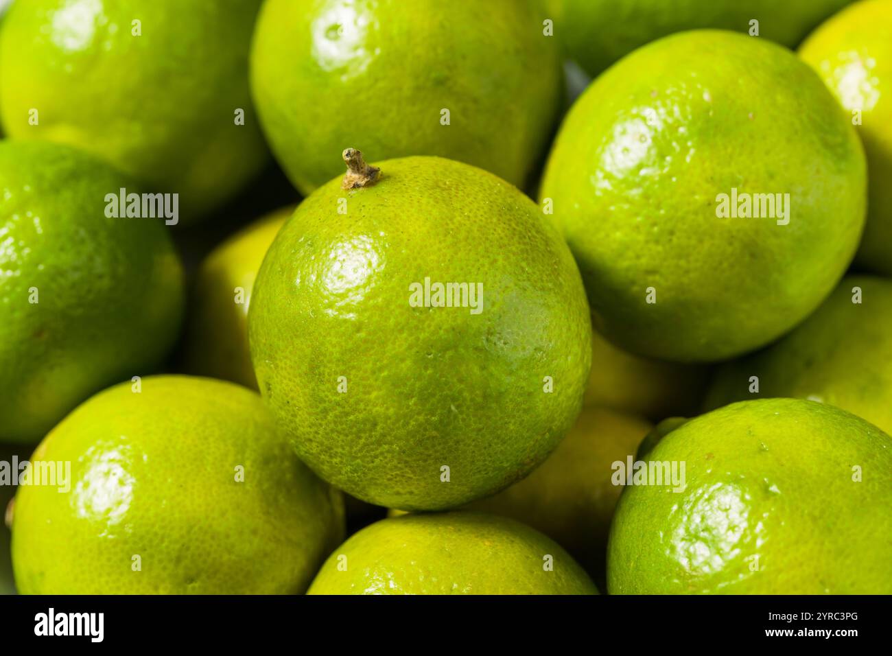 Saure Bio-Limetten mit grünem Schlüssel in einer Schüssel, verzehrfertig Stockfoto