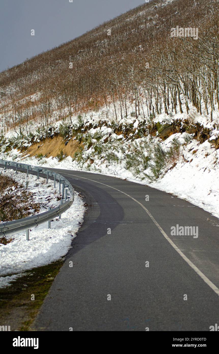 Straße in einem schneebedeckten Berg mit jungen Eichen, Winterkonzept Hintergrund. Serra do Larouco Stockfoto