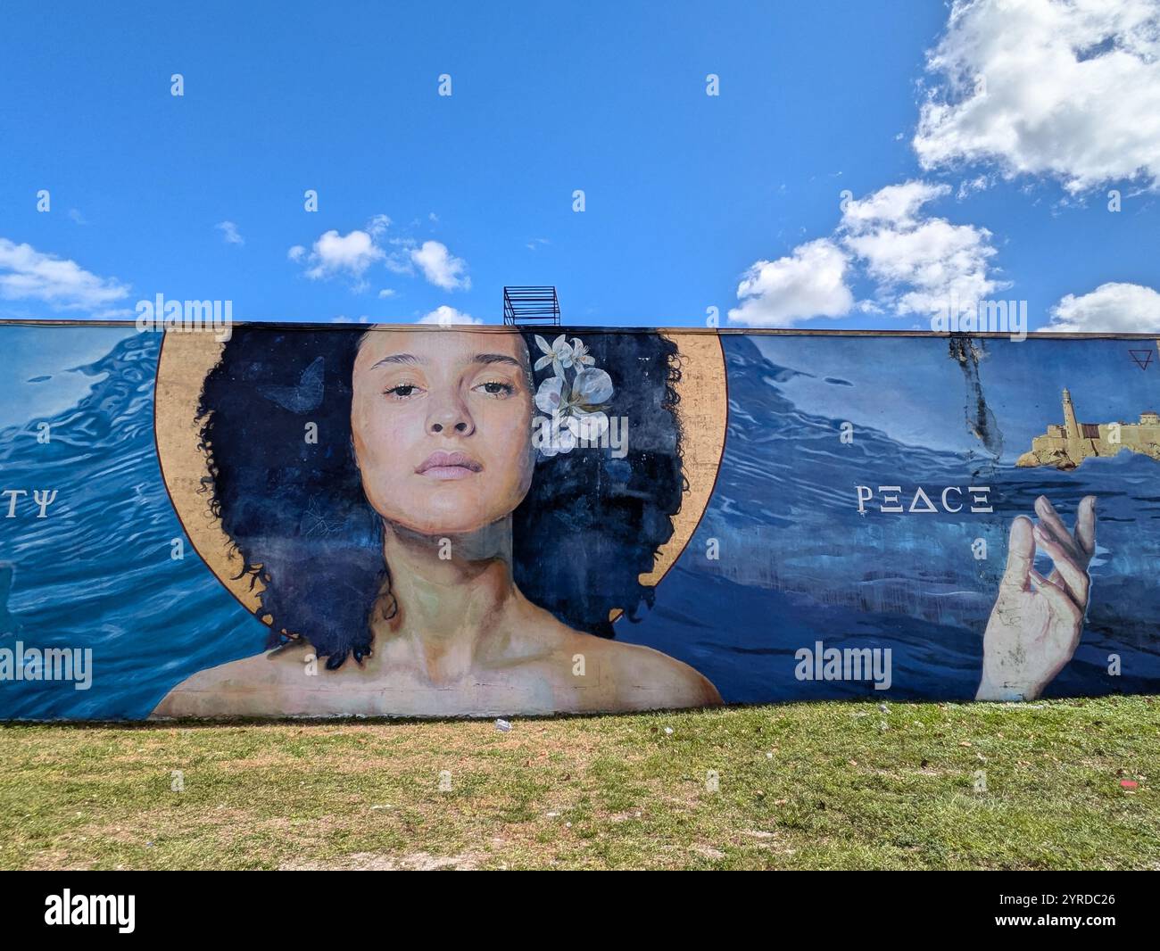 Bunte Street Art in Miami Wynwood Stockfoto