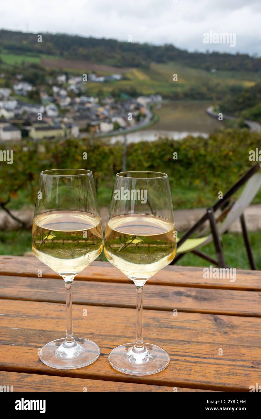 Gläser weißen Trockenriesling, hergestellt im Moseltal in Deutschland oder Luxemburg, Blick auf Terrassen-Weinberge in Nittel Stockfoto