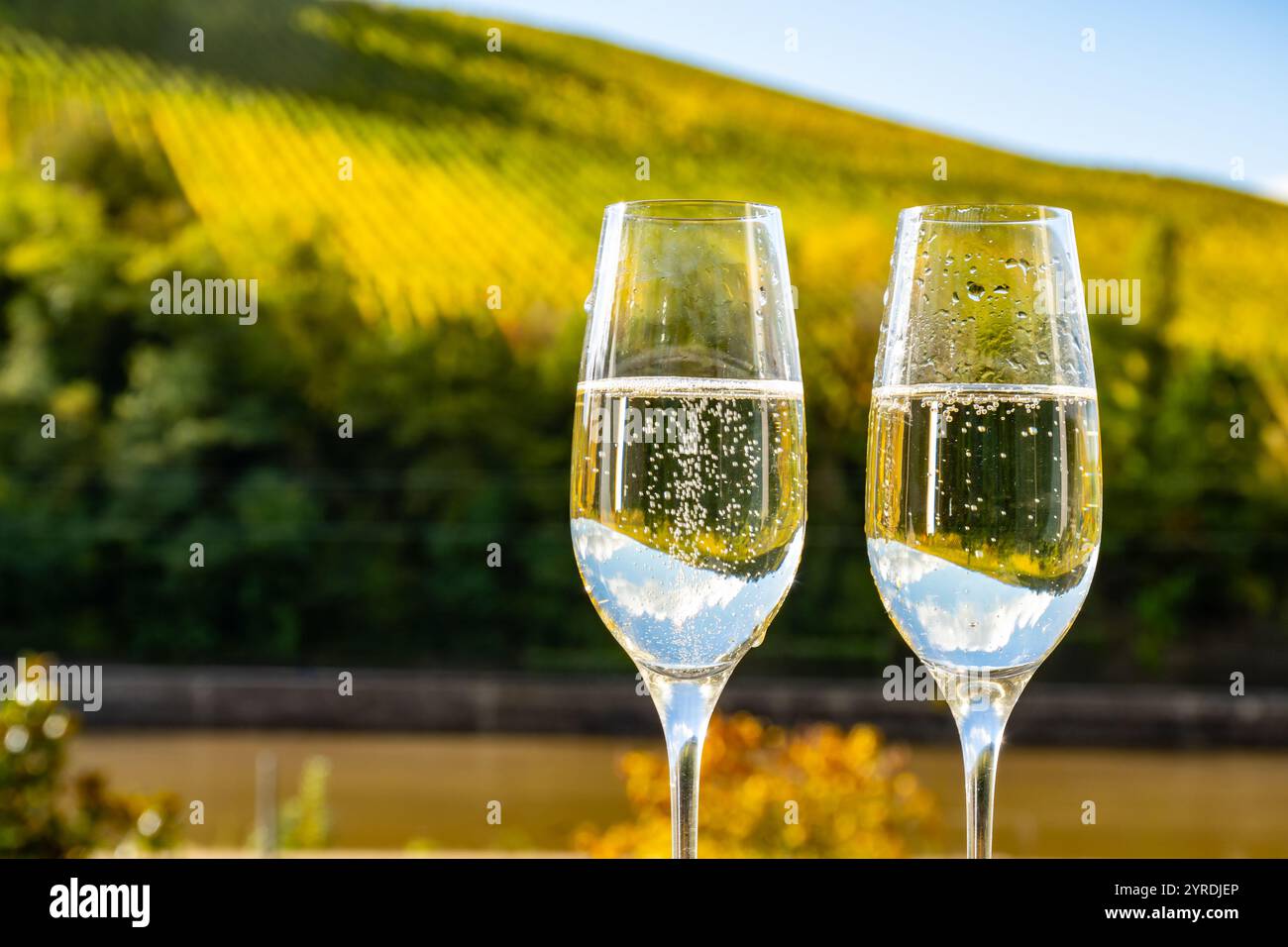 Verkostung von Weißwein, traditionelle Champagnermethode Herstellung von cremant in Höhlen im Moseltal in Luxemburg, Gläser Wein und VI Stockfoto