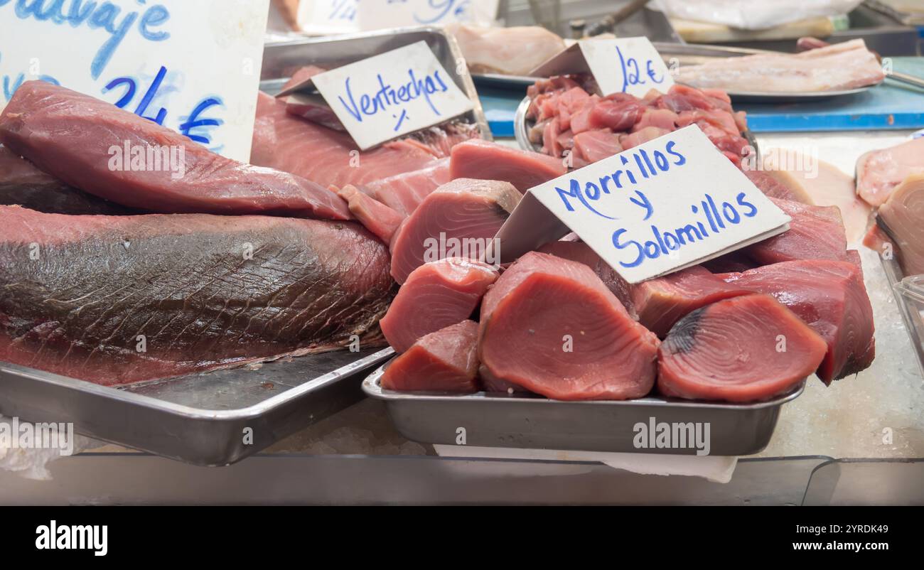 Auswahl an täglichen Fängen von Thunfisch, Kason, Haien, Fischen, Garnelen, Muscheln, Weichtiere auf Eis auf dem Fischmarkt in Jerez de la Frontera, Andalus Stockfoto